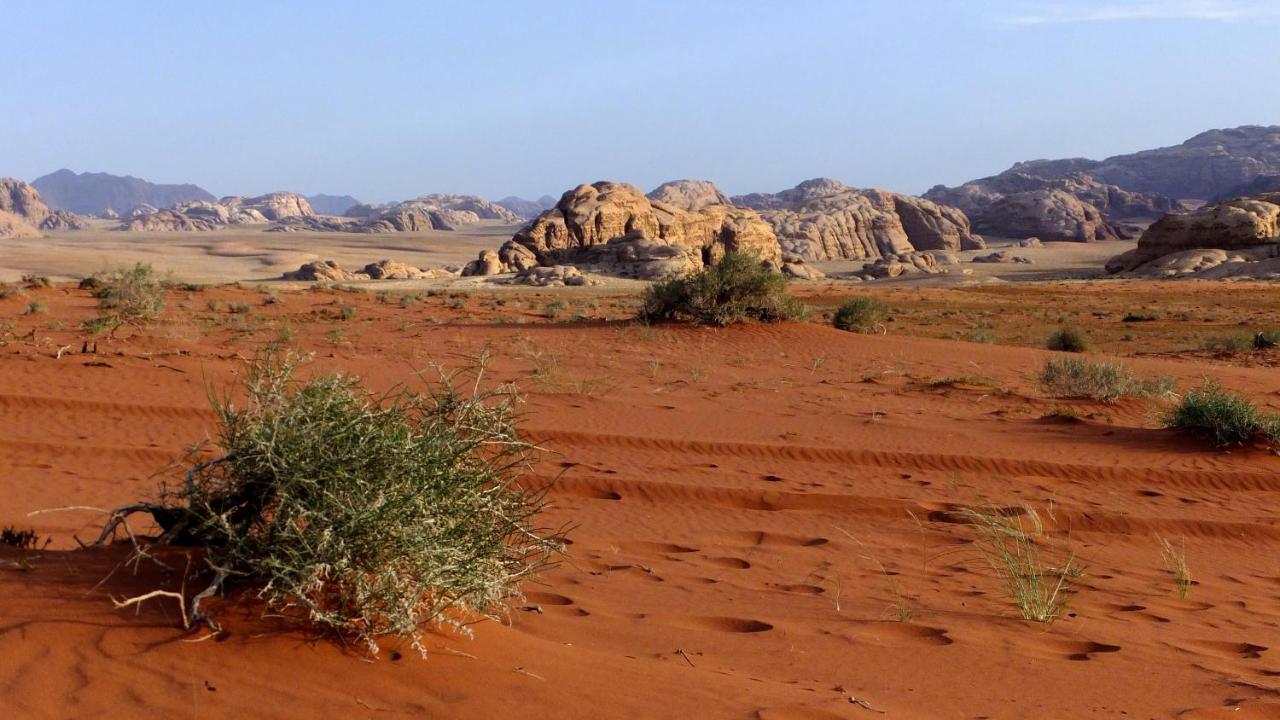 Salem Camp Hotel Wadi Rum Ngoại thất bức ảnh