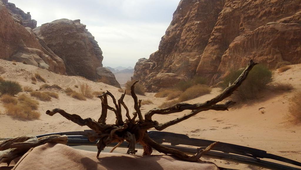 Salem Camp Hotel Wadi Rum Ngoại thất bức ảnh